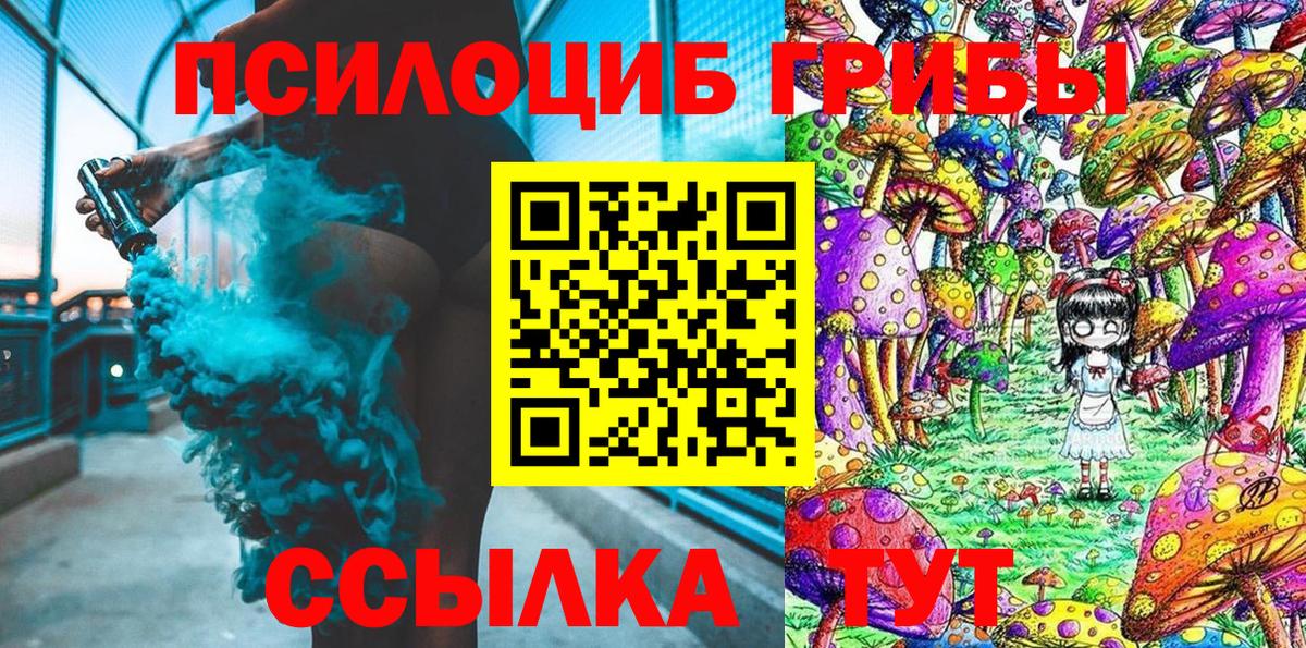 Долгопрудный  Галлюциногенные грибы Psilocybine cubensis  Вход с VPN 