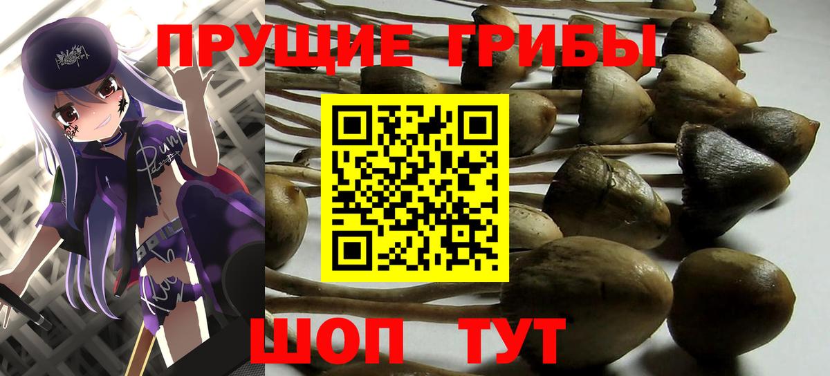Галлюциногенные грибы Cubensis Долгопрудный